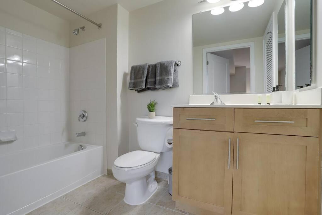 Pentagon City Comfort Modern Stay أرلنغتون المظهر الخارجي الصورة